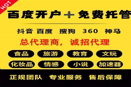 SEM广告投放的创意与执行：成功案例剖析